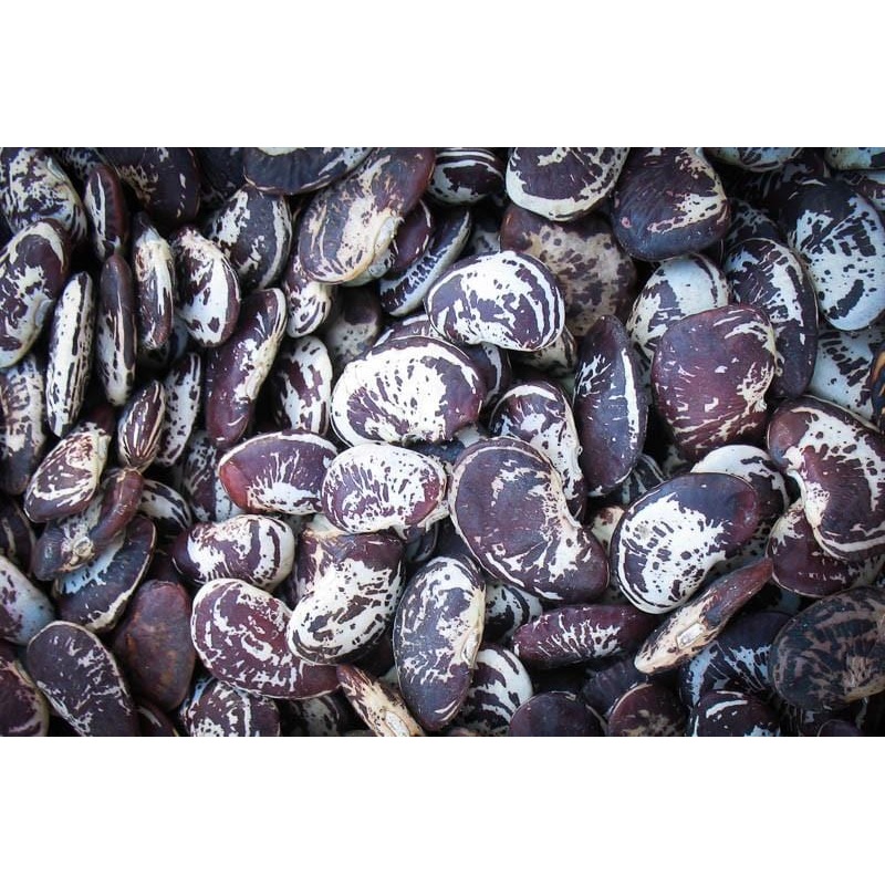 Rancho Gordo Christmas Lima Beans - 1 lb.