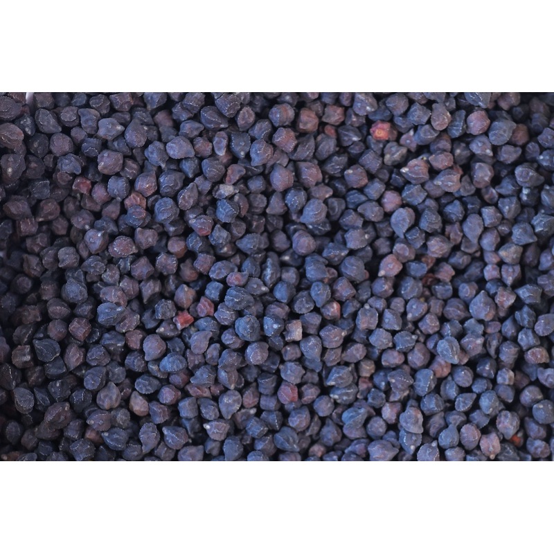 Rancho Gordo Black Garbanzo Beans - 1 lb.