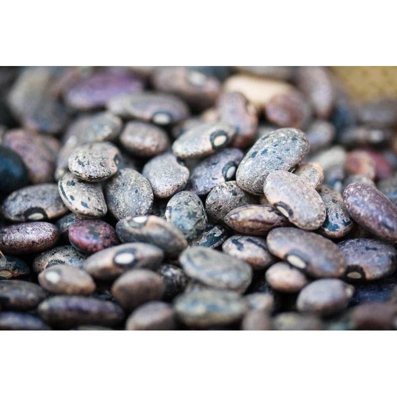 Rancho Gordo Moro Beans