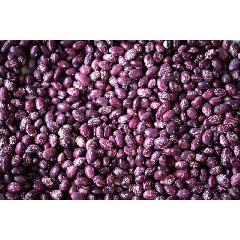 Rancho Gordo Whipple Beans
