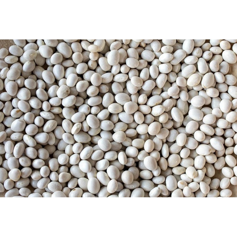 Rancho Gordo Caballero Beans - 1 lb.