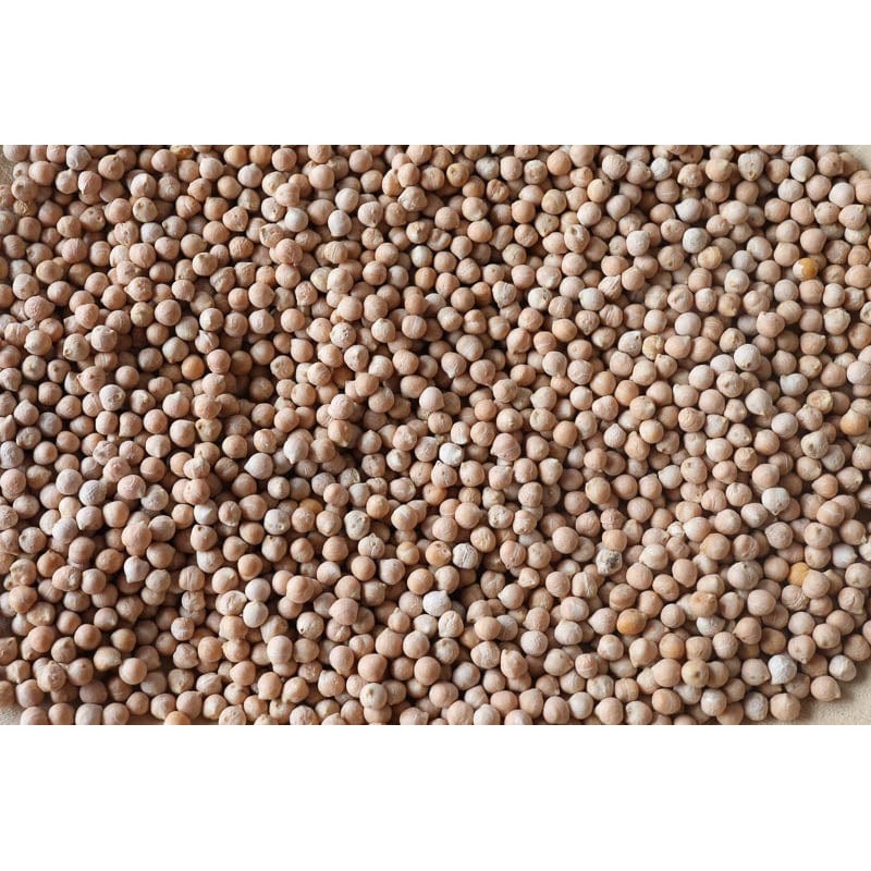 Rancho Gordo Ceci Piccoli Beans - 1 lb.