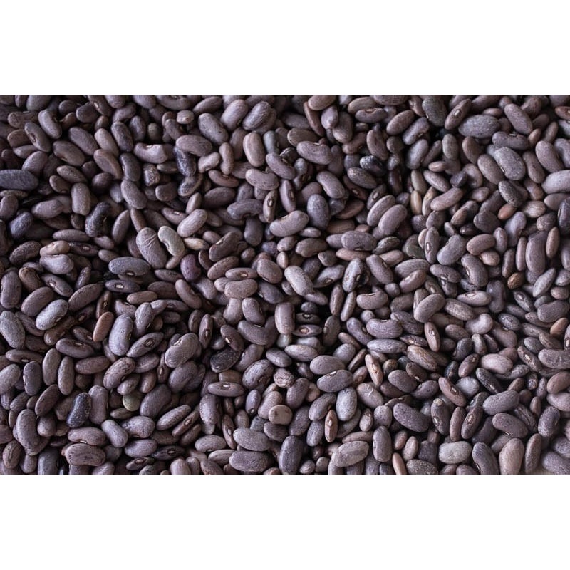 Rancho Gordo Rebosero Beans - 1 lb.