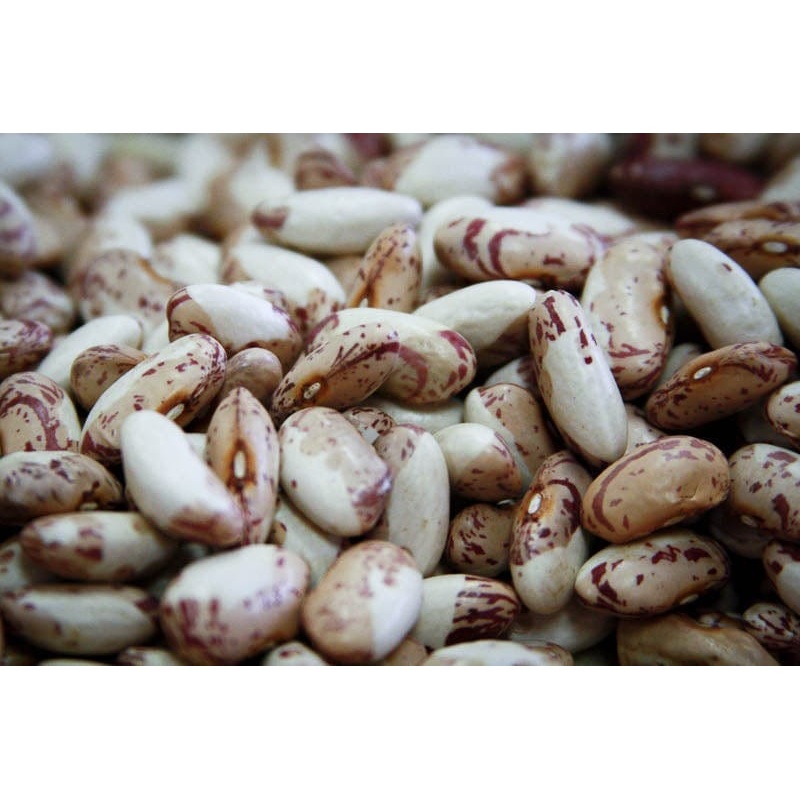 Rancho Gordo Snowcap Beans - 1 lb.
