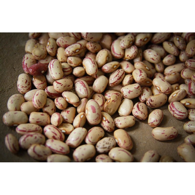 Rancho Gordo Cranberry Beans - 1 lb.
