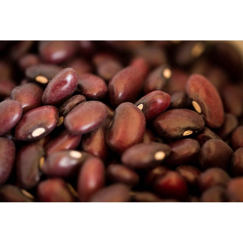 Rancho Gordo Domingo Rojo Beans - 1 lb.