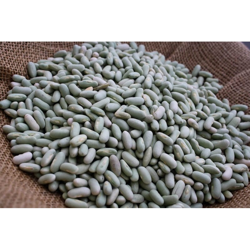 Rancho Gordo Flageolet Beans - 1 lb.