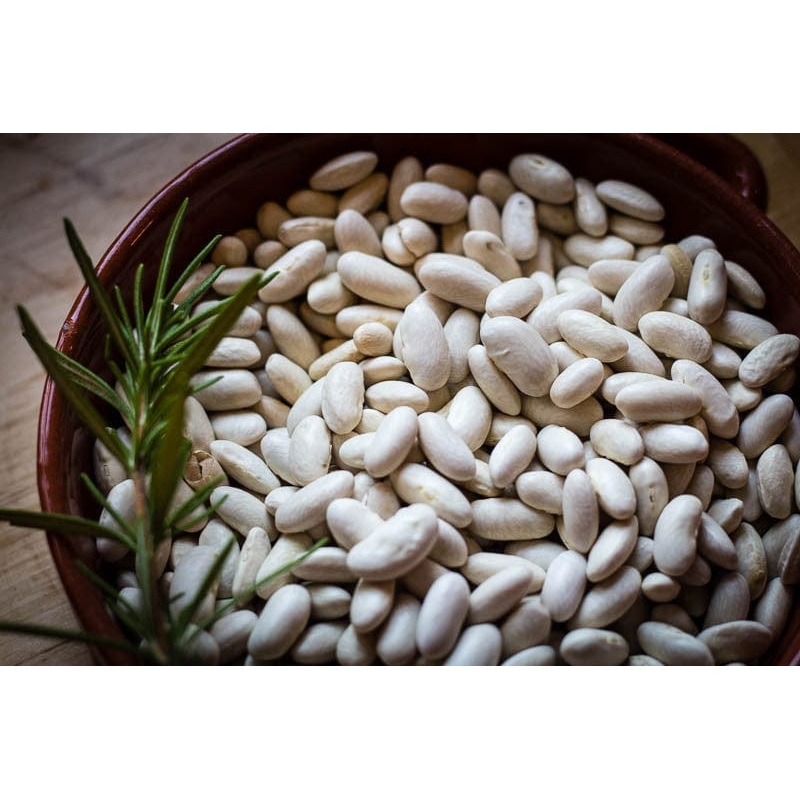 Rancho Gordo Marcella Beans - 1 lb.