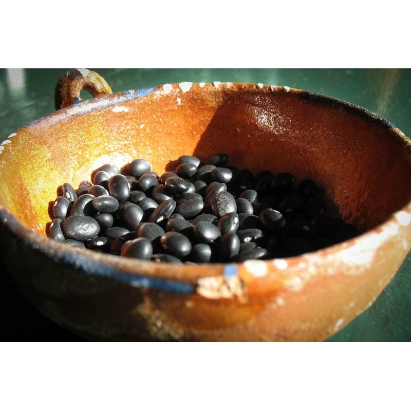 Rancho Gordo Midnight Black Heirloom Beans