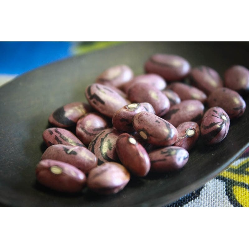 Rancho Gordo Rio Zape Beans - 1 lb.