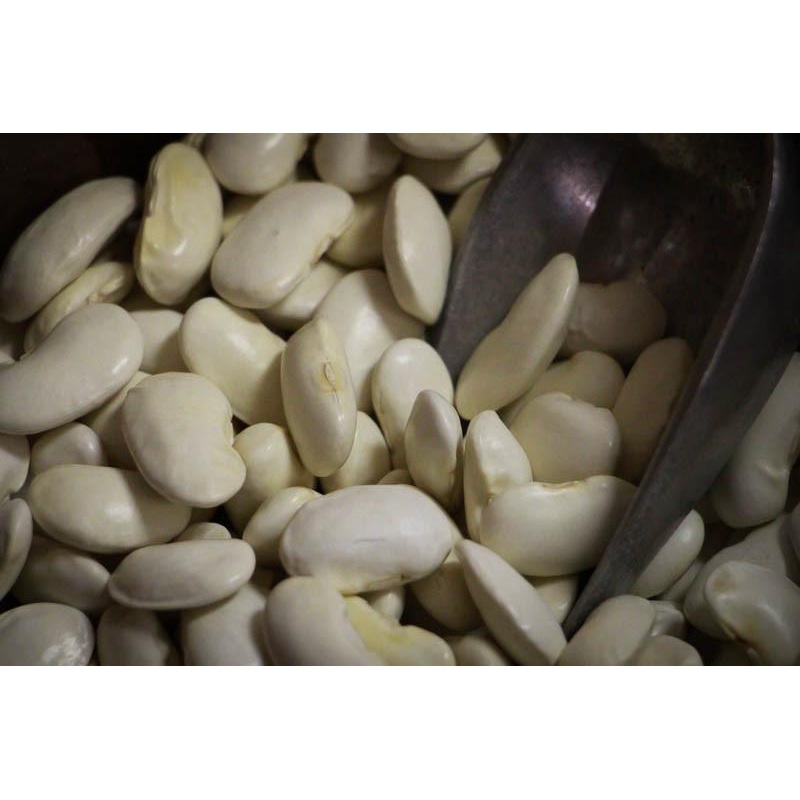 Rancho Gordo Royal Corona Beans - 1 lb.