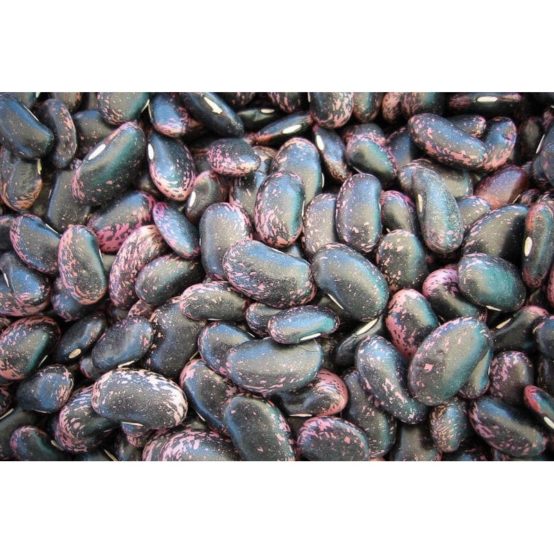 Rancho Gordo Scarlet Runner Beans - 1 lb.