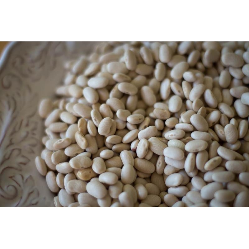 Rancho Gordo Alubia Blanca Beans - 1 lb.