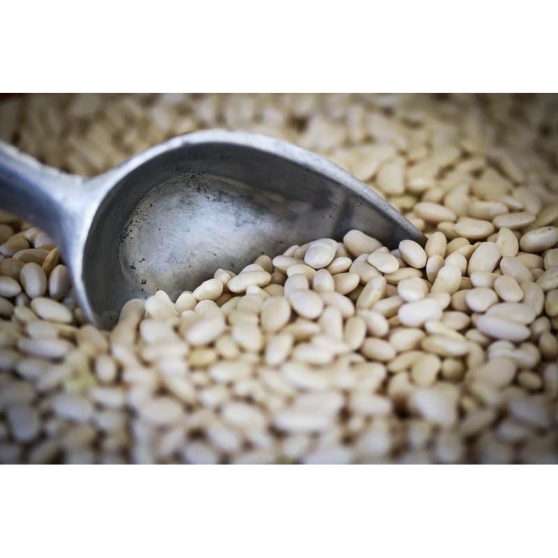 Rancho Gordo Ayocote Blanco Beans - 1 lb.