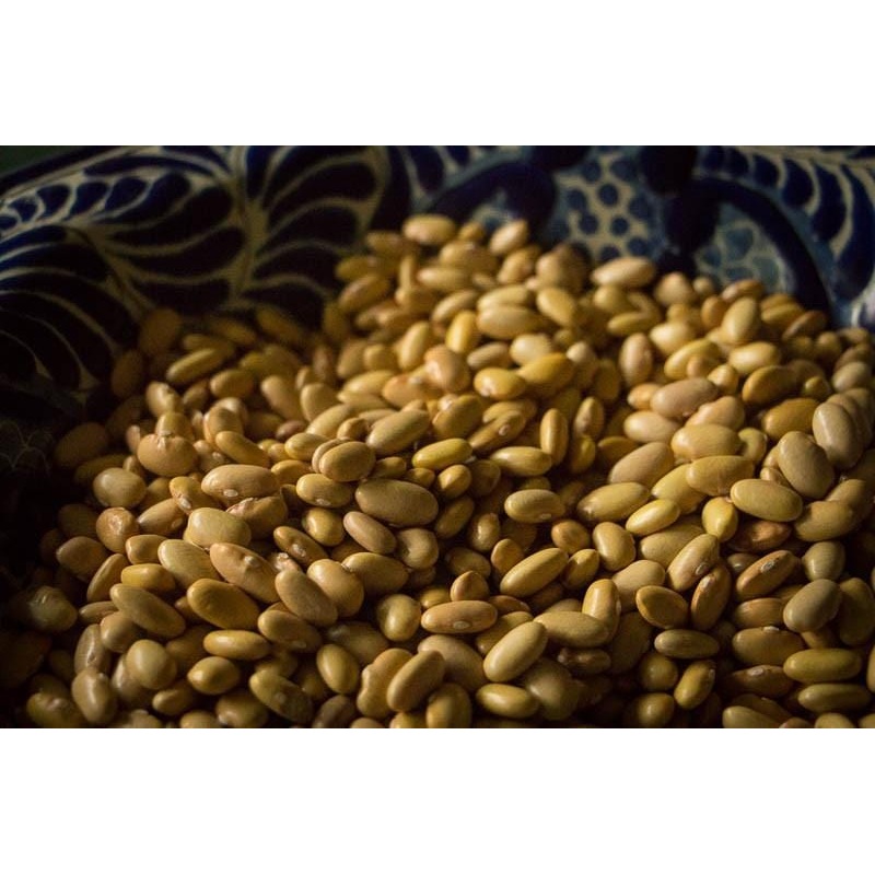Rancho Gordo Mayocoba Beans - 1 lb.