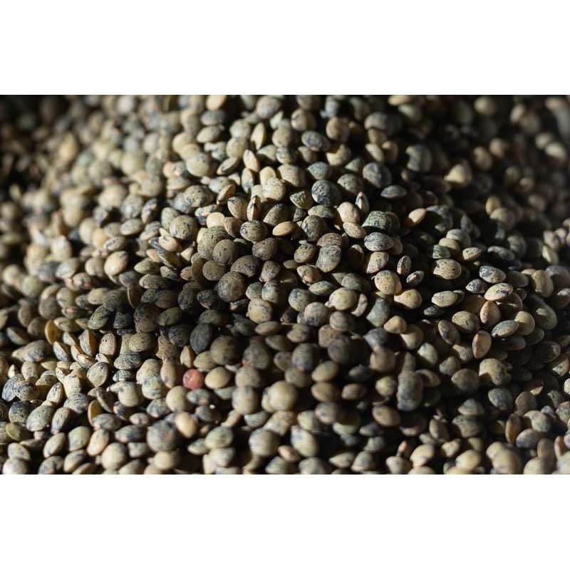 Rancho Gordo French-Style Green Lentils - 1 lb.