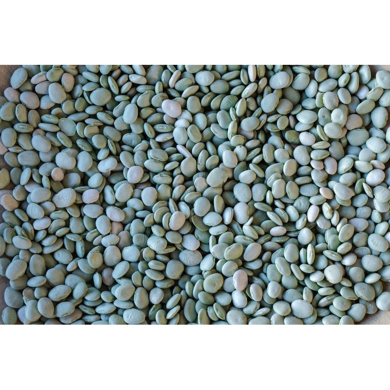 Rancho Gordo Green Baby Lima Beans